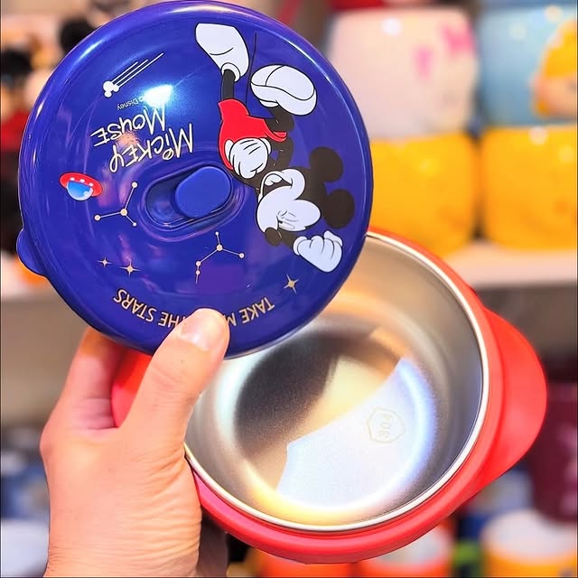 Stylish Insulated Food Bowl