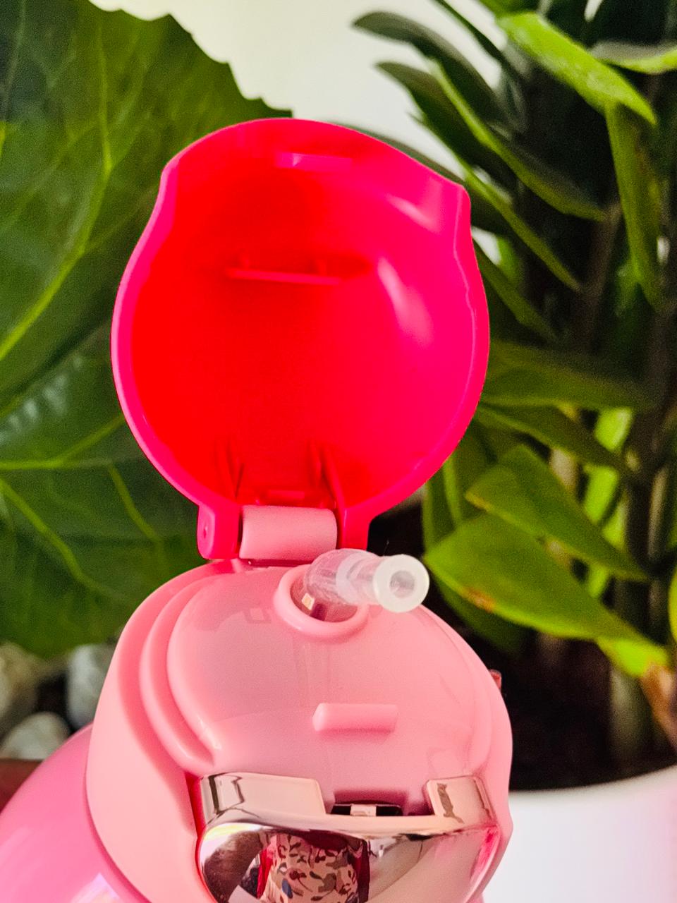 Lotso steel sipper bottle