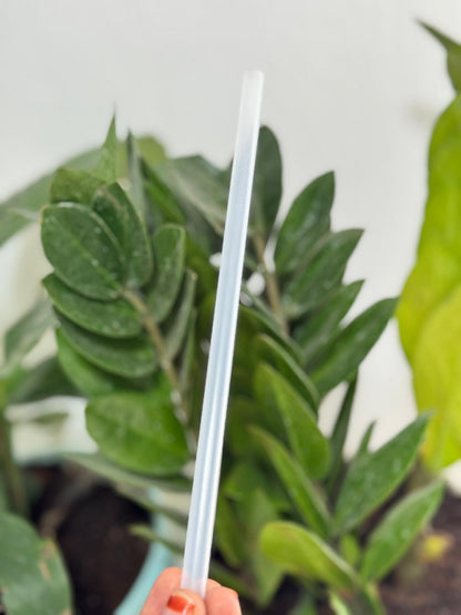 Zehui Sipper Bottle (500ml)