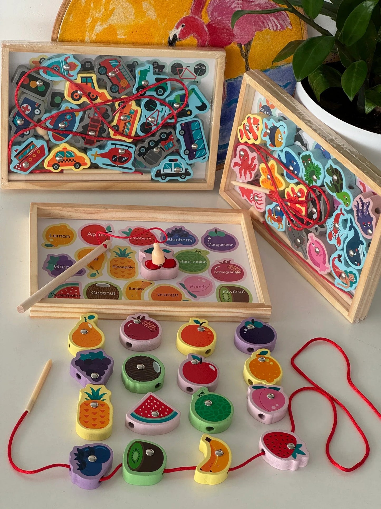 chunky lacing and magnetic fishing