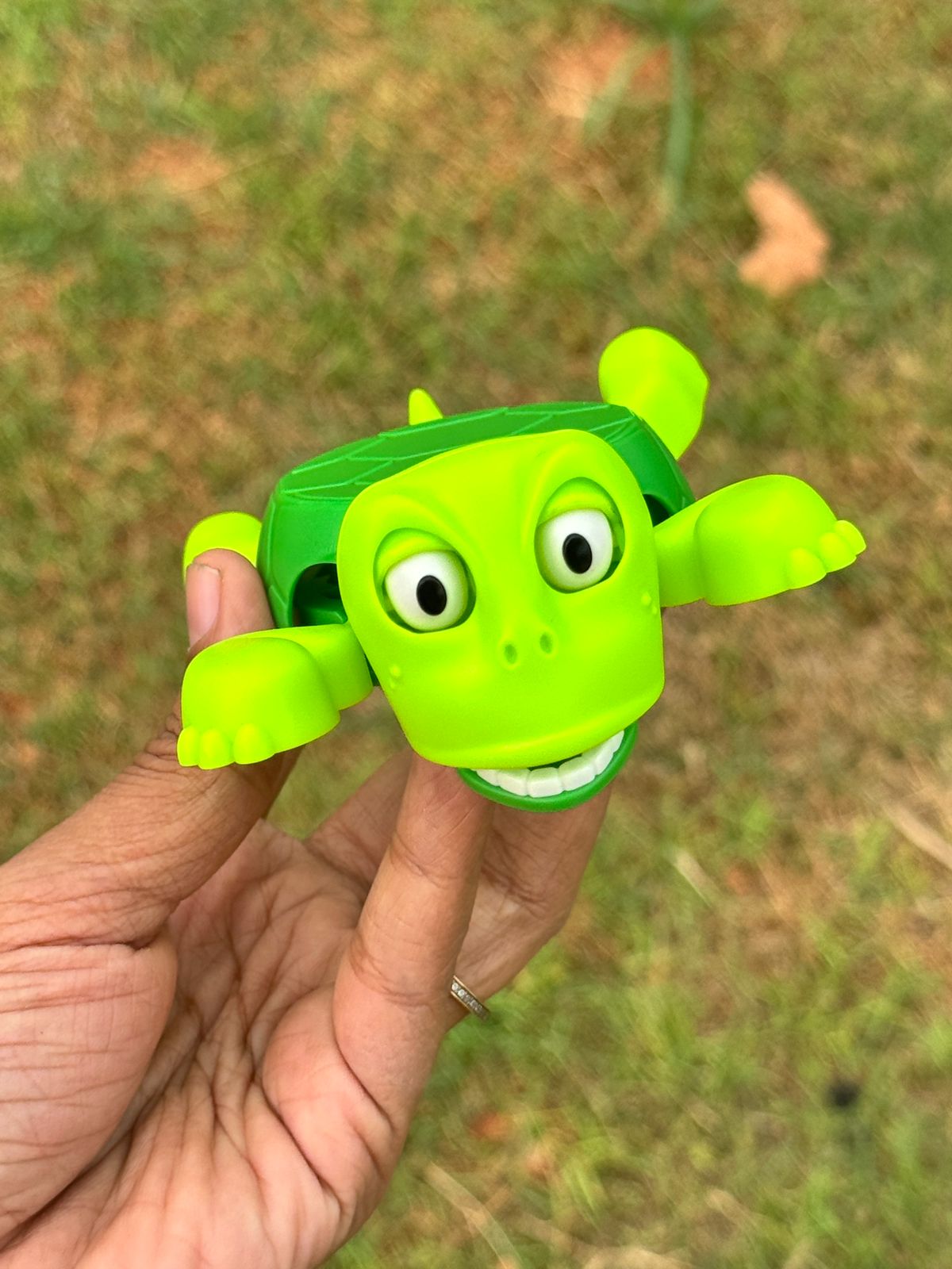 Turtle coaster