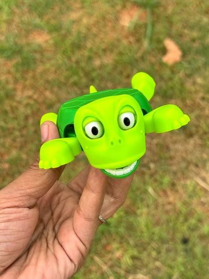 Turtle coaster