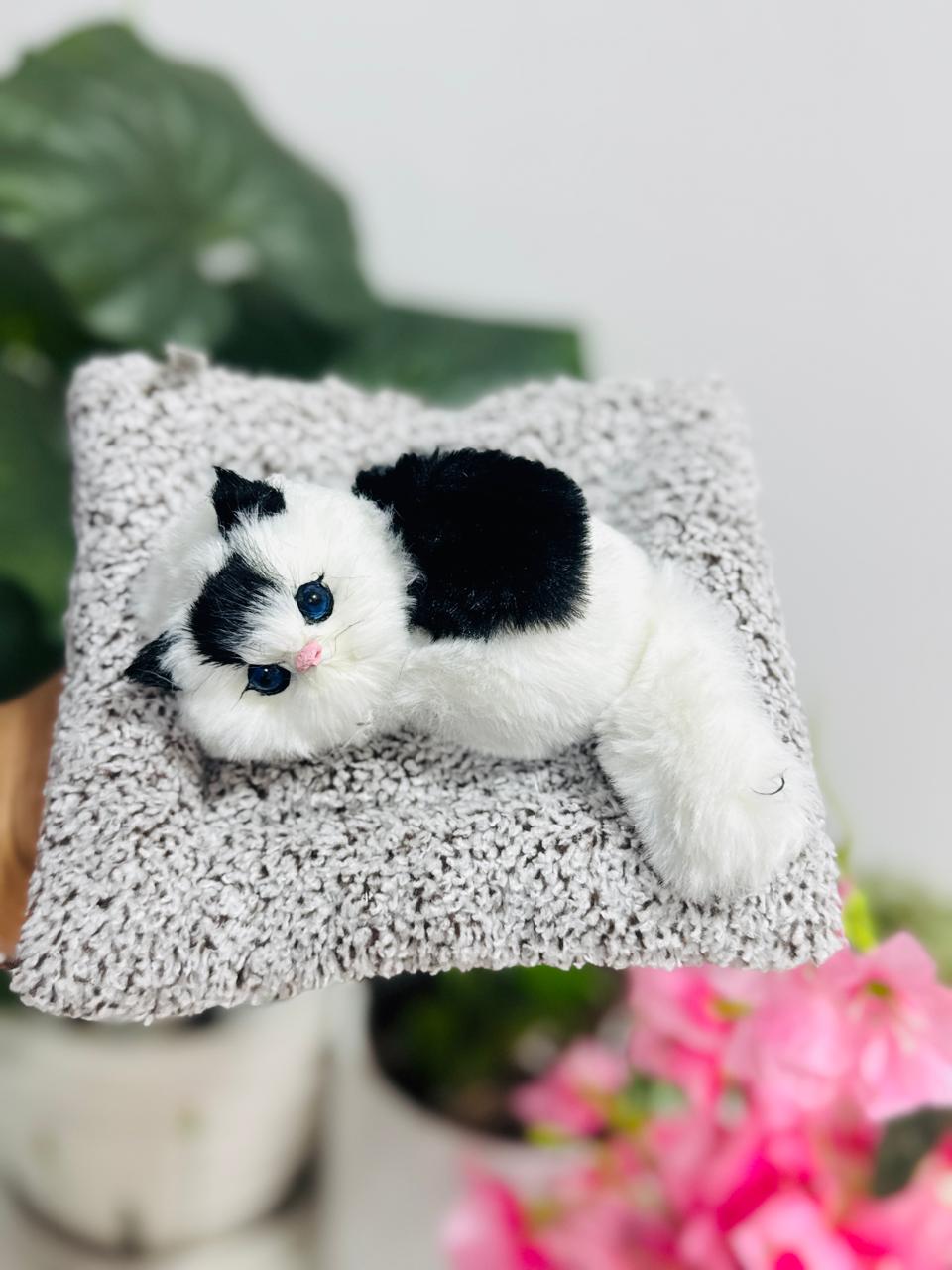Sleeping Cat Plush Toy