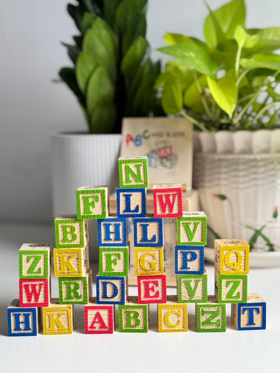 Wooden box with storage box