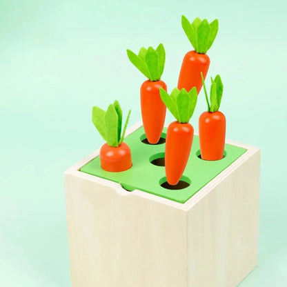 5 in 1 montessori wooden toy