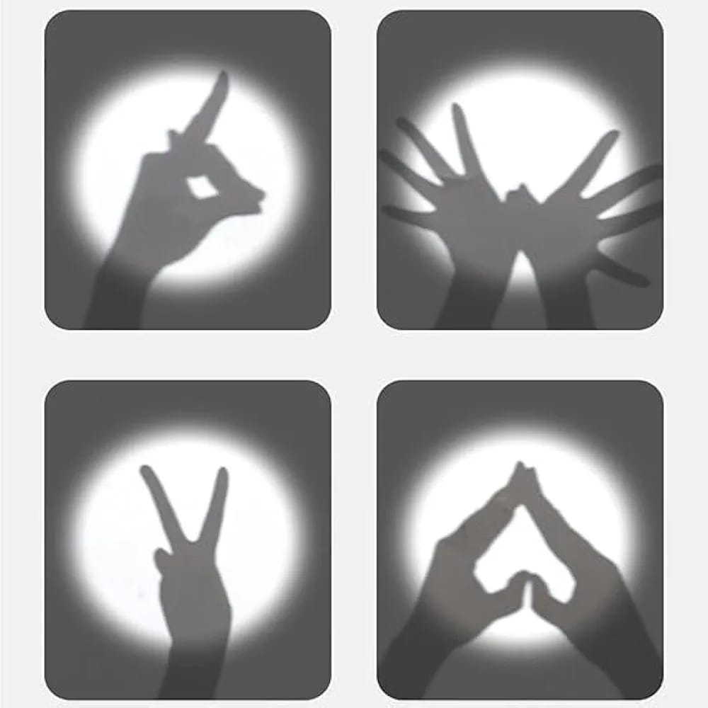 Carrot flashlight projector