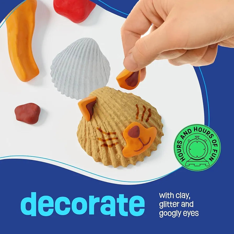 Shell Painting kit