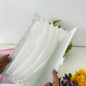 File Folder