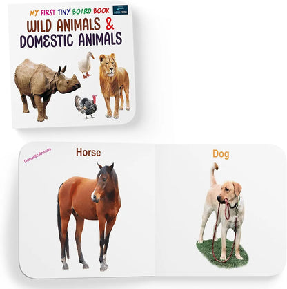 My first tiny board book