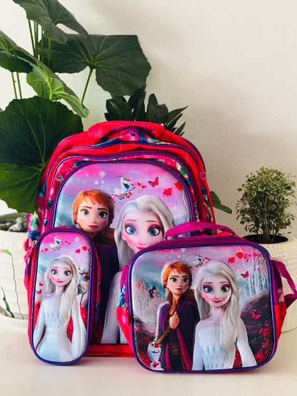 3 in 1 Hardshell Backpack