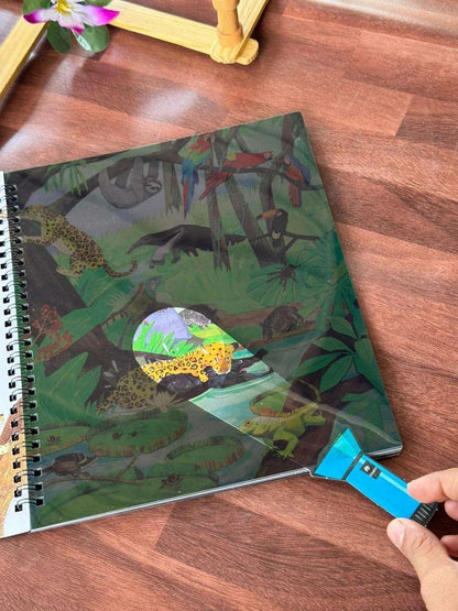 Flashlight exploration book